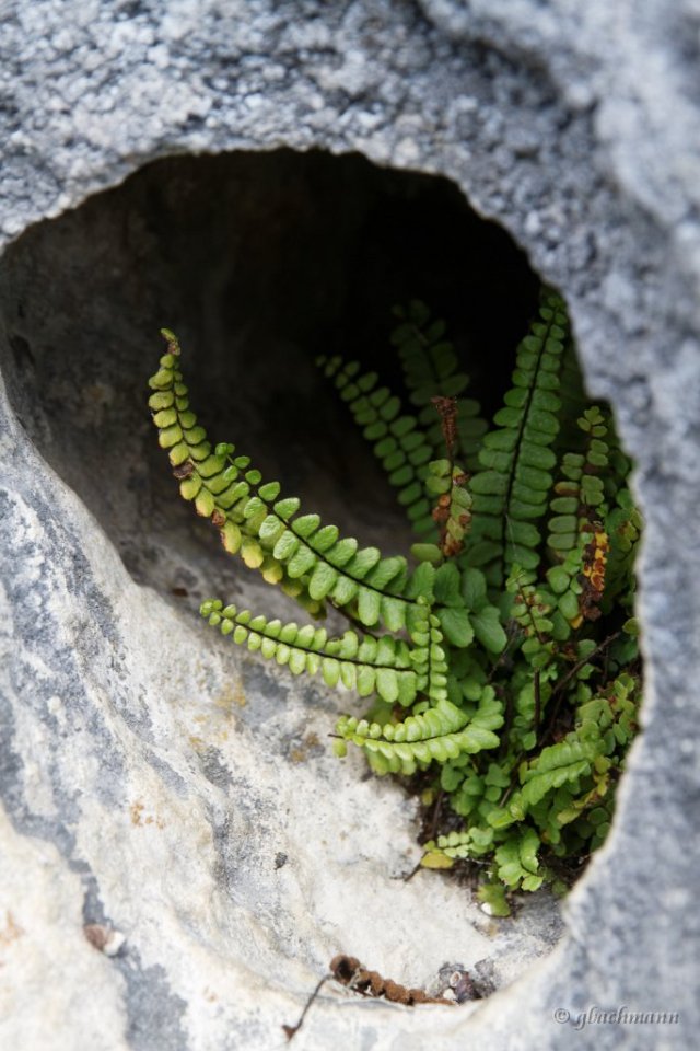 20150514_0064